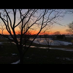 Meet your Posher, Laney